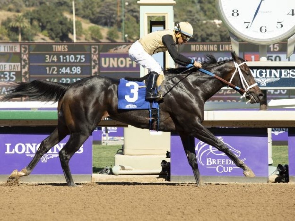 Foto: EUA: em meio à Breeders’ Cup, filho de Einstein vence stakes de US$ 200 mil