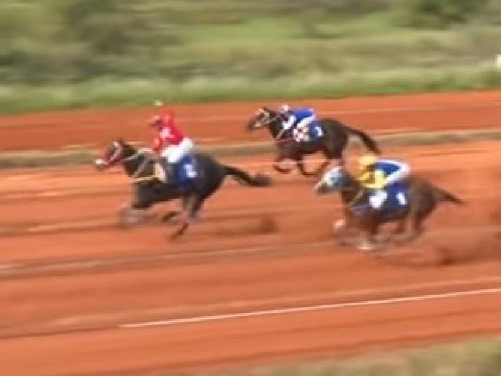 Foto: Cancha reta: "repicado", Escudo Y Balla vence a "Penca do Boi" no Alegrete