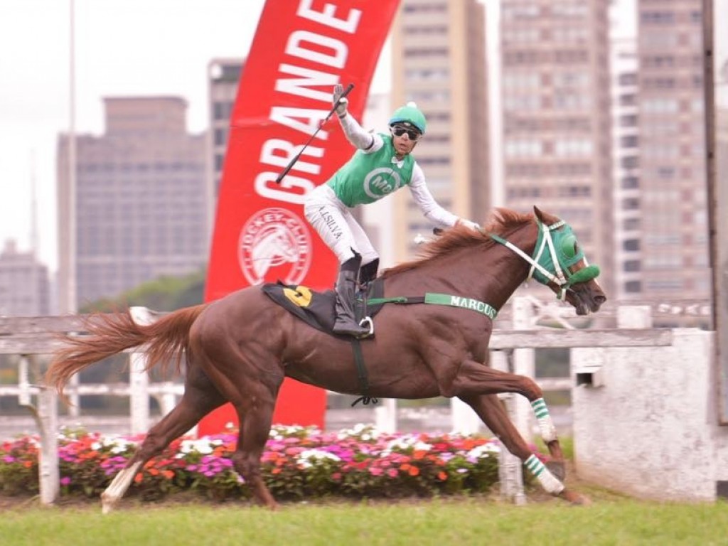 Foto: Atila The King reina soberano no GP Governador do Estado (gr.II)