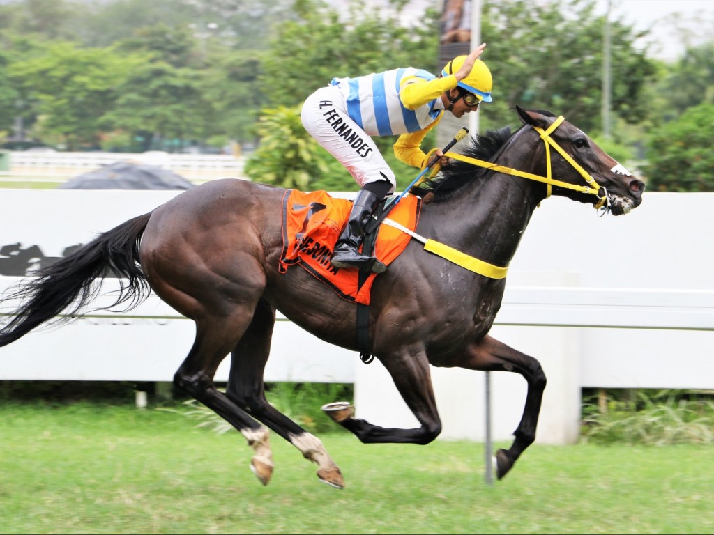 Foto: Mais Que Bonita mantém sequência de vitórias no GP Mariano Procópio (gr.III)