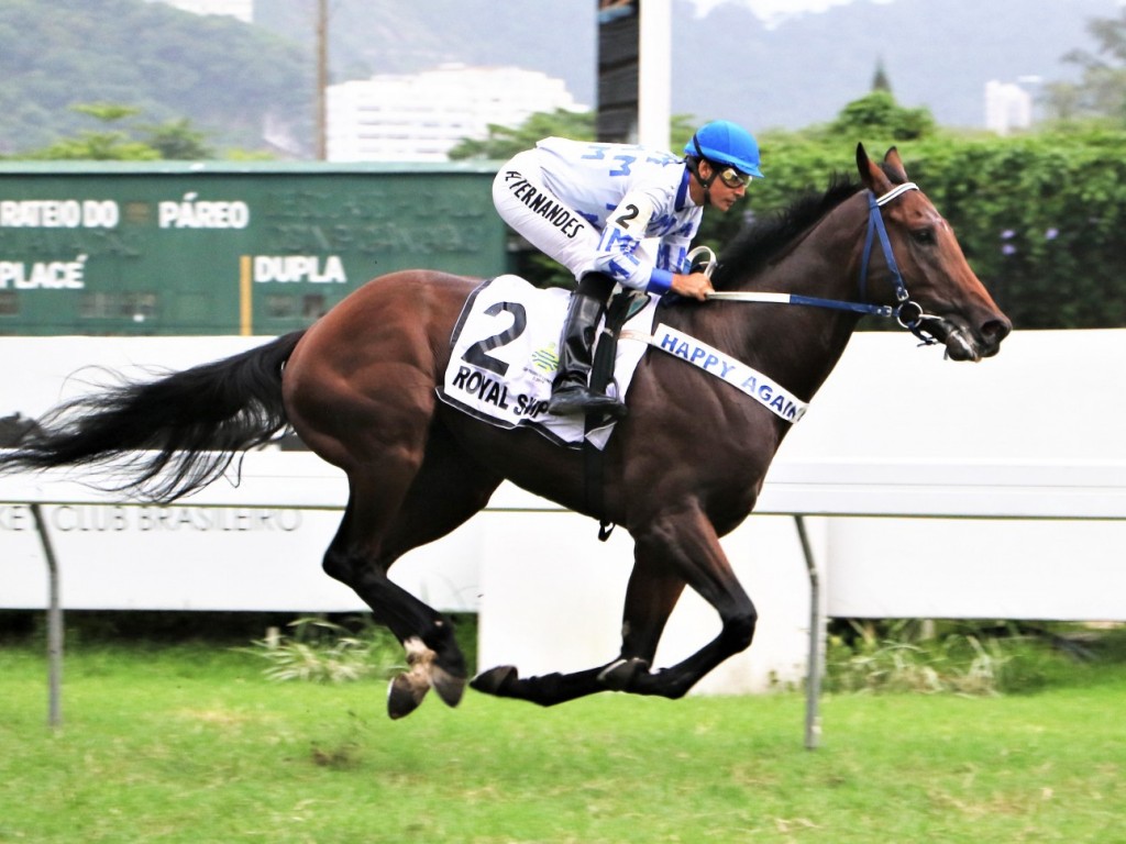 Foto: Royal Ship esbanja categoria no GP Frederico Lundgren (gr.III)