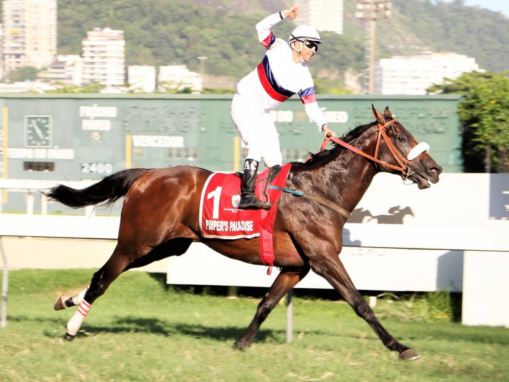 Foto: Pimper’s Paradise lidera dobrada do Haras Doce Vale no GP Presidente Vargas (gr.II)