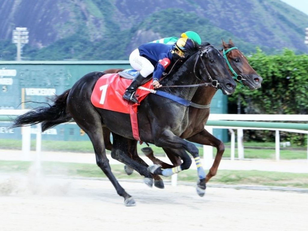 Foto: Gávea: Joe Gold garante nova vitória