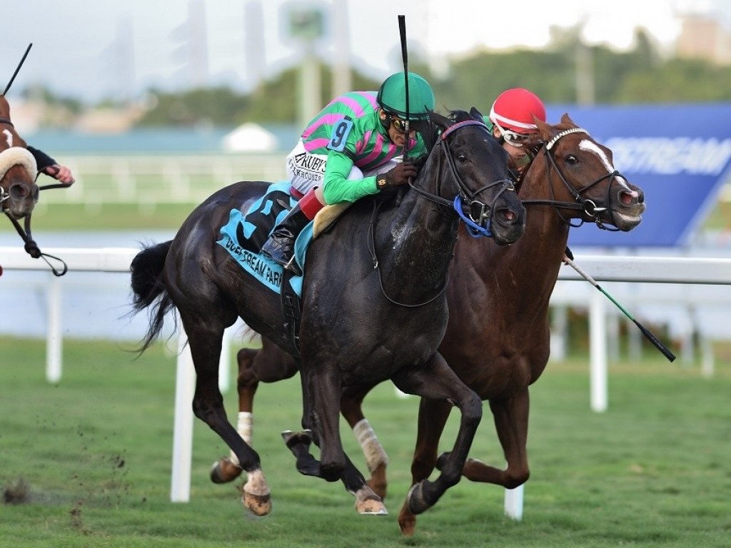 Foto: EUA: Touriga conquista o Via Borghese Stakes