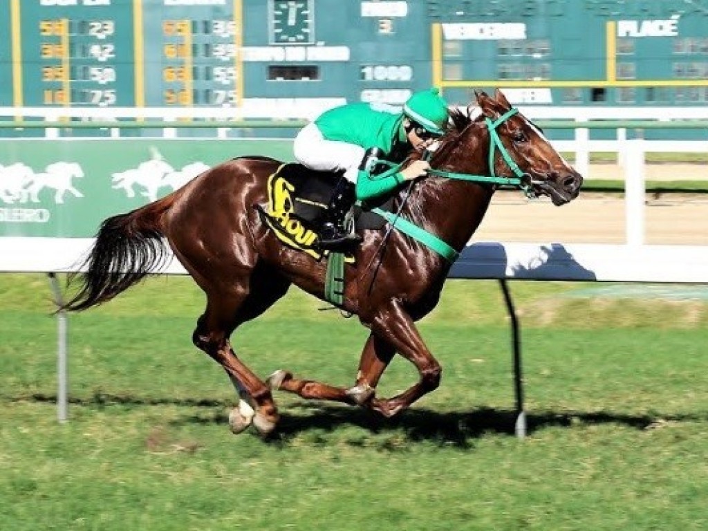 Foto: Ghoul vence e se aproxima de recorde em Santa Anita