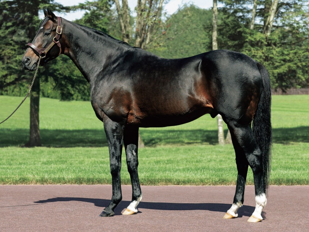 Foto: Deep Impact e Galileo: hegemonias mantidas.