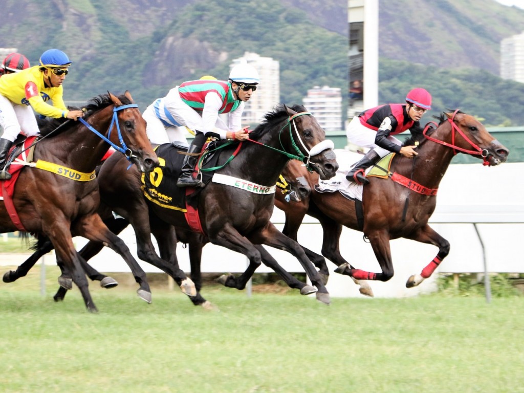 Foto: No último galão, Amor Total alcança Gold Force no GP José Buarque de Macedo (gr.III)