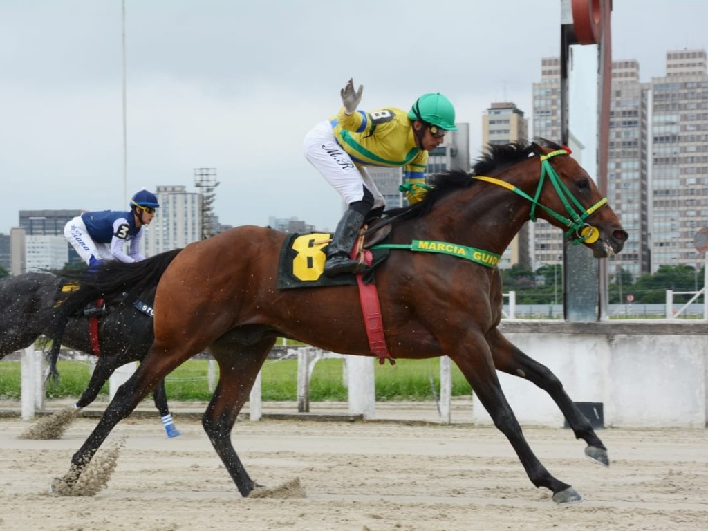 Foto: Pedigree & Black Type: os Ganhadores Clássicos no Brasil.