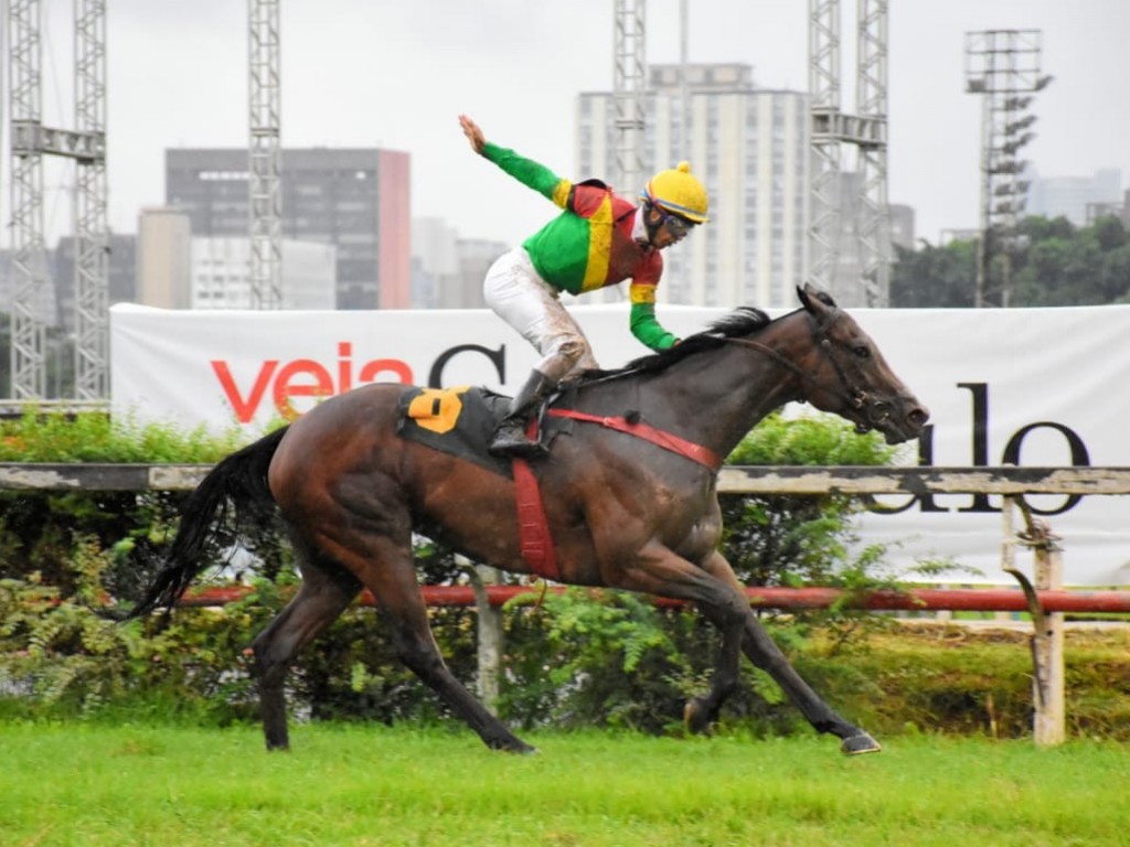 Foto: De volta à grama, Surprising brilha no GP Presidente Hernani Azevedo Silva (gr.II)