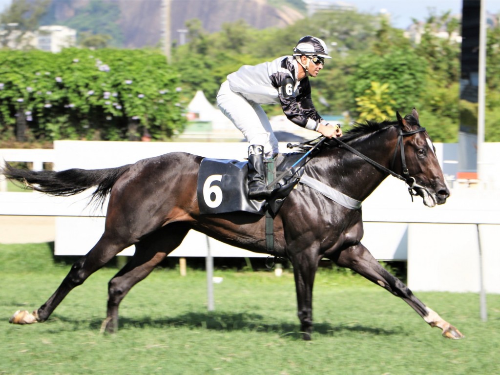 Foto: It’s Well e Neusely dão as cartas, entre os mais novos, na Gávea