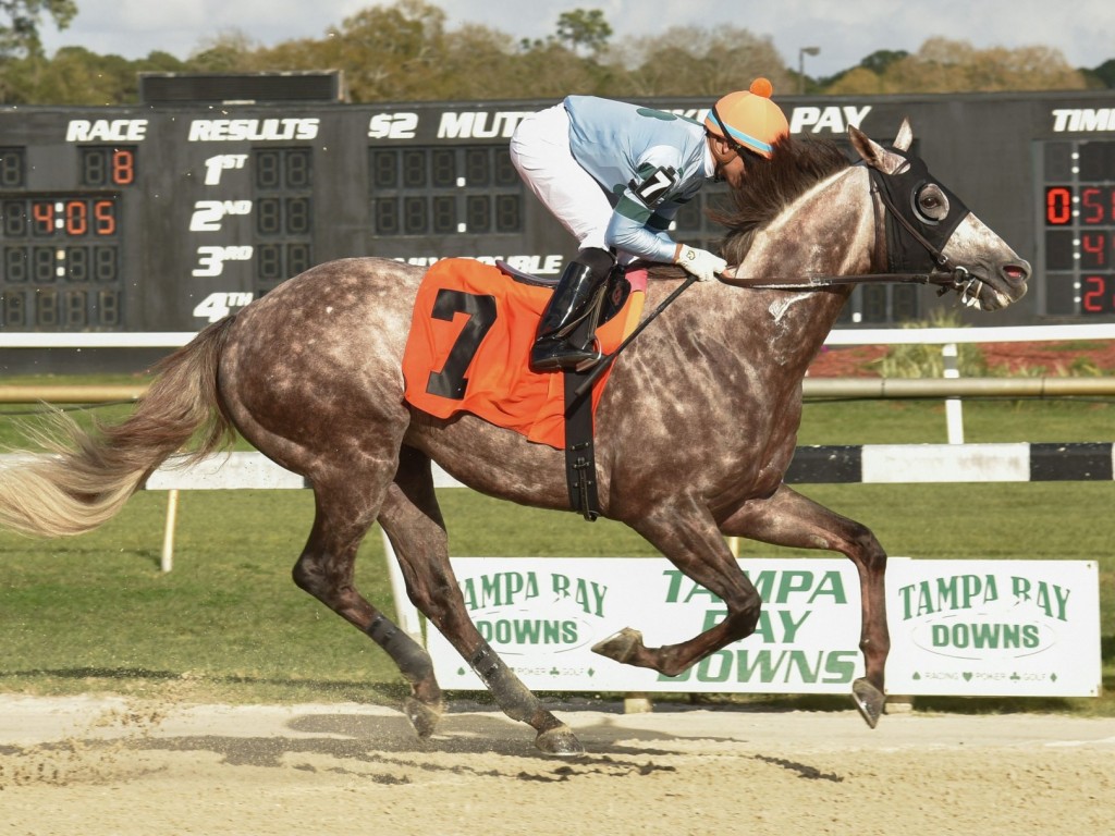 Foto: Estados Unidos: Wind of Change estreia com terceiro em listed