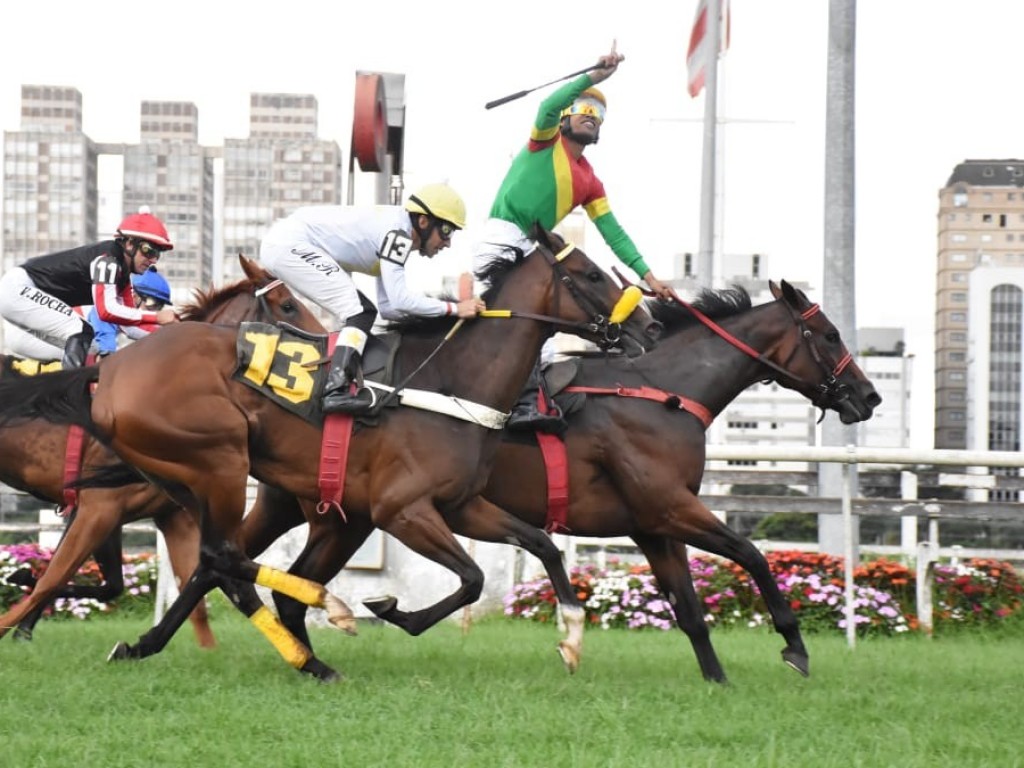 Foto: Pedigree & Black Type: os Ganhadores Clássicos no Brasil - 5ª Edição