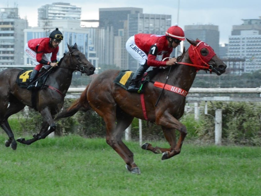 Foto: Fast Jet Court e Full do Jaguarete prevalecem entre os mais novos