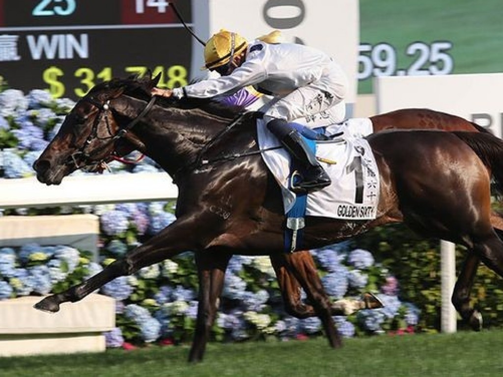 Foto: Golden Sixty vence o Hong Kong Derby; Halston, em boa corrida, entra sexto