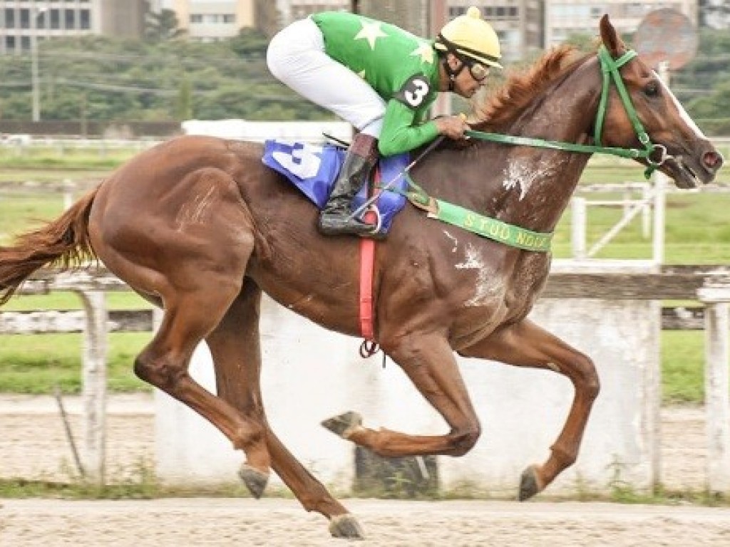 Foto: Le Courtier conquista batismo clássico