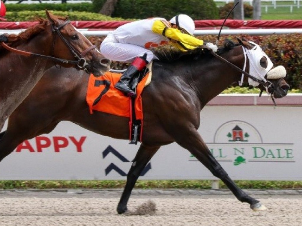 Foto: No Derby Day de Gulfstream, Wind of Change vence allowance, de ponta a ponta