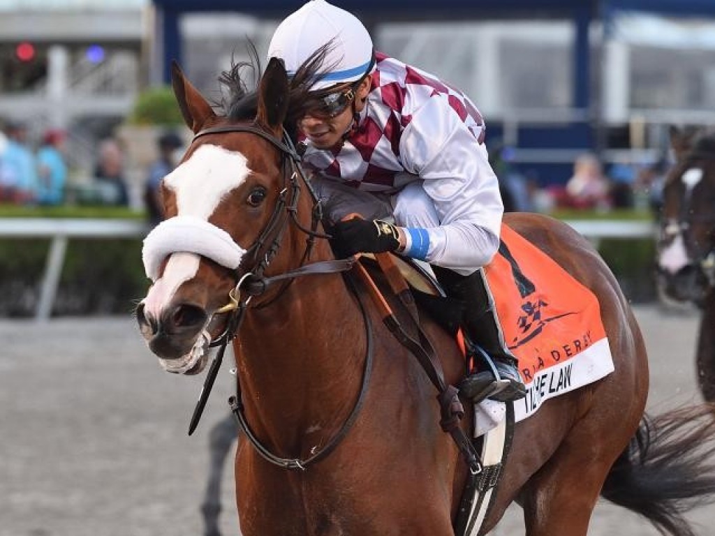 Foto: Tiz The Law brilha no Florida Derby (G1): Constitution em evidência