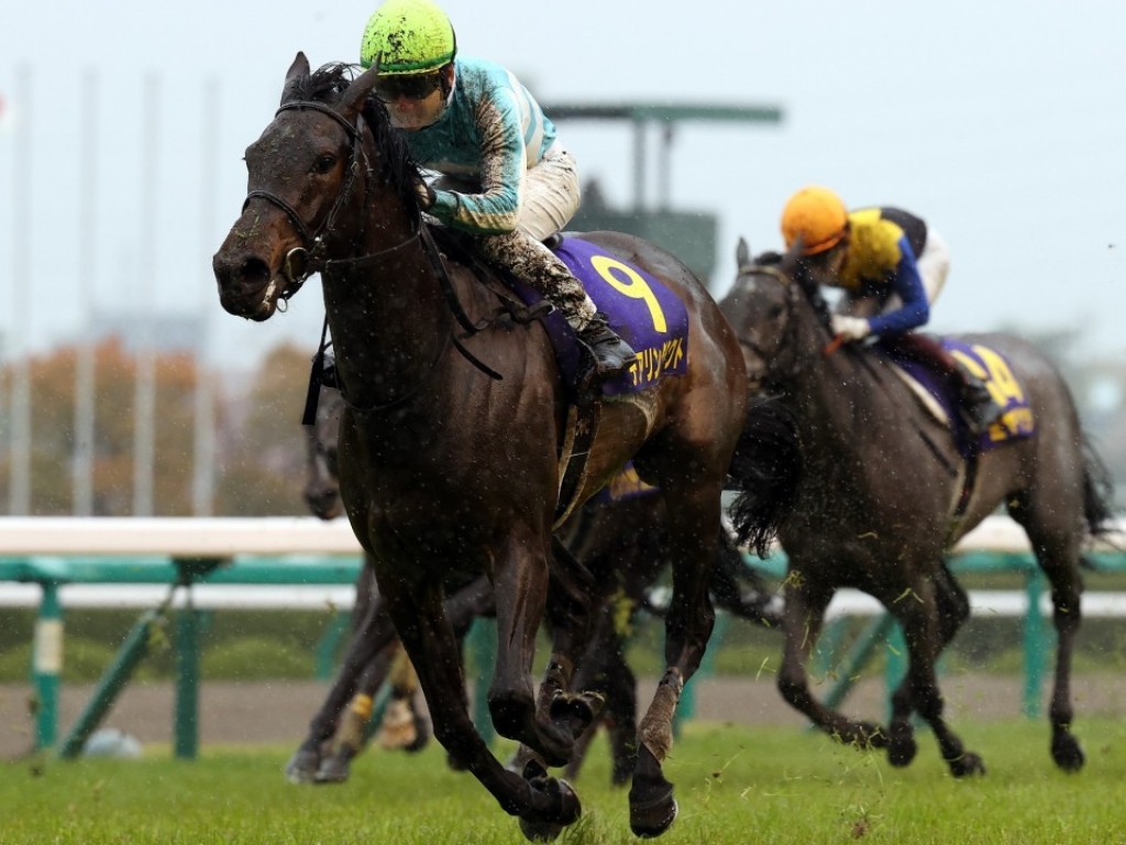 Foto: Japão: Invicta, Daring Tact abre a tríplice coroa e desponta como nova estrela local