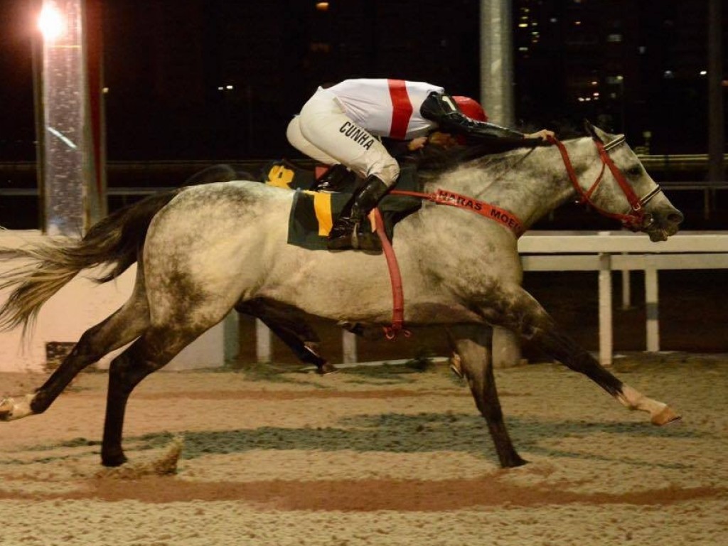 Foto: Kitikero alcança Out of Town no último galão em listed race