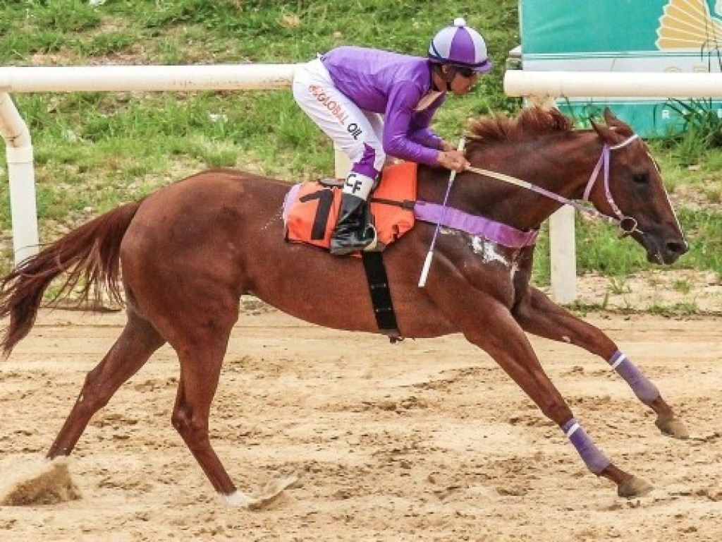 Foto: Com “cheiro” de tríplice coroada, Cristal retoma corridas na sexta-feira