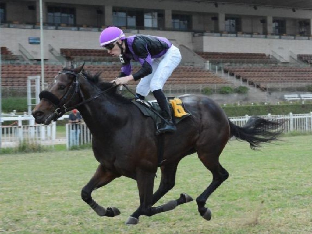 Foto: Em atropelada fulminante, Izzi Bizzi vence o GP Pres. José de Souza Queiroz (G2)