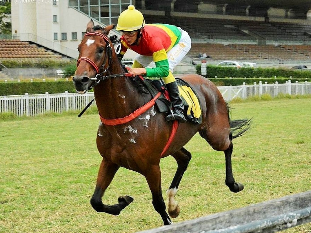 Foto: Head Office dá show na PE Clackson e arranha recorde da milha e meia