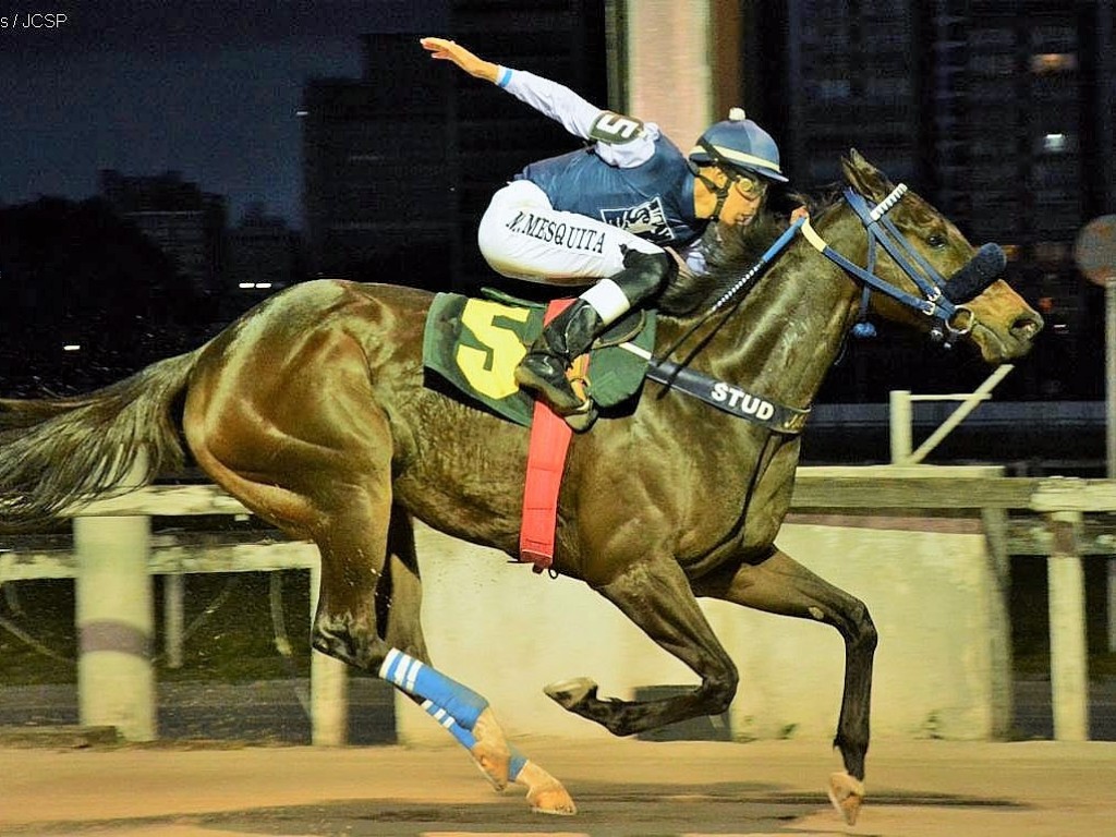 Foto: No apagar das luzes, melhor para Eliz do Jaguarete.