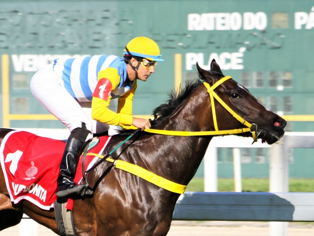 Foto: Mais Que Bonita encara 9 adversárias no desafio final