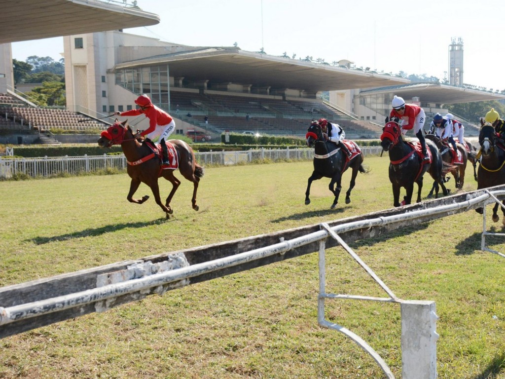 Foto: Com direito a recorde da prova, Fast Jet Court vence o GP João Cecílio Ferraz (G1)