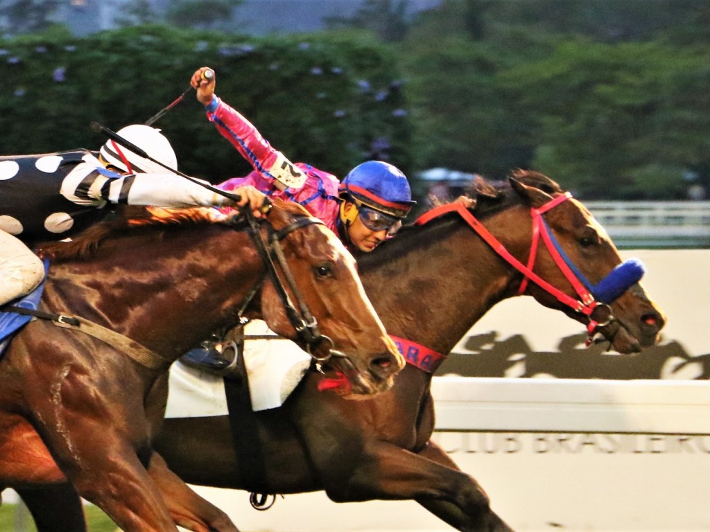 Foto: Nordstorm, um Glória de Campeão, vence o Clássico Jockey Club de São Paulo (L)