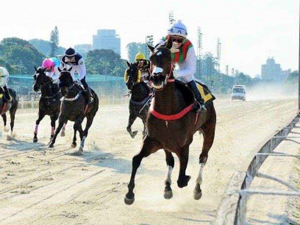 Foto: Pedigree & Black Type: os Ganhadores Clássicos no Brasil - 11ª Edição