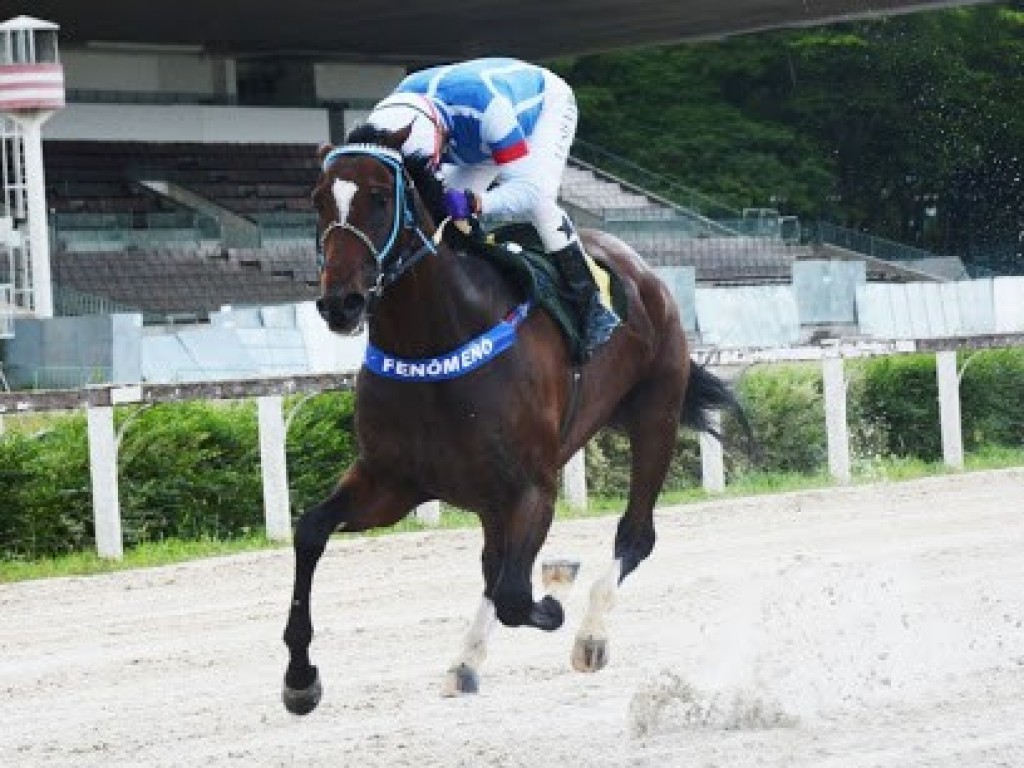 Foto: SP: Royal Forestry aumenta coleção de troféus