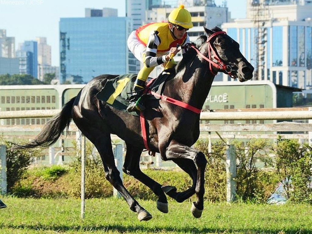 Foto: Com o fôlego em dia: Nhoquin vence o GP General Couto de Magalhães (G3)