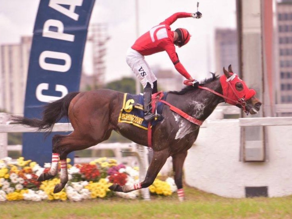 Foto: Na Taça de Prata de Potros, um fenômeno chamado Dashing Court