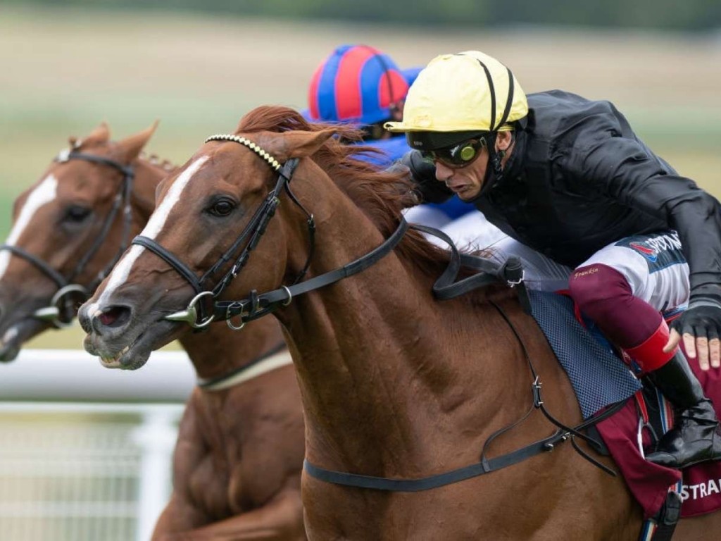 Foto: Após quarta vitória na Goodwood Cup (G1), Stradivarius mira Arco do Triunfo