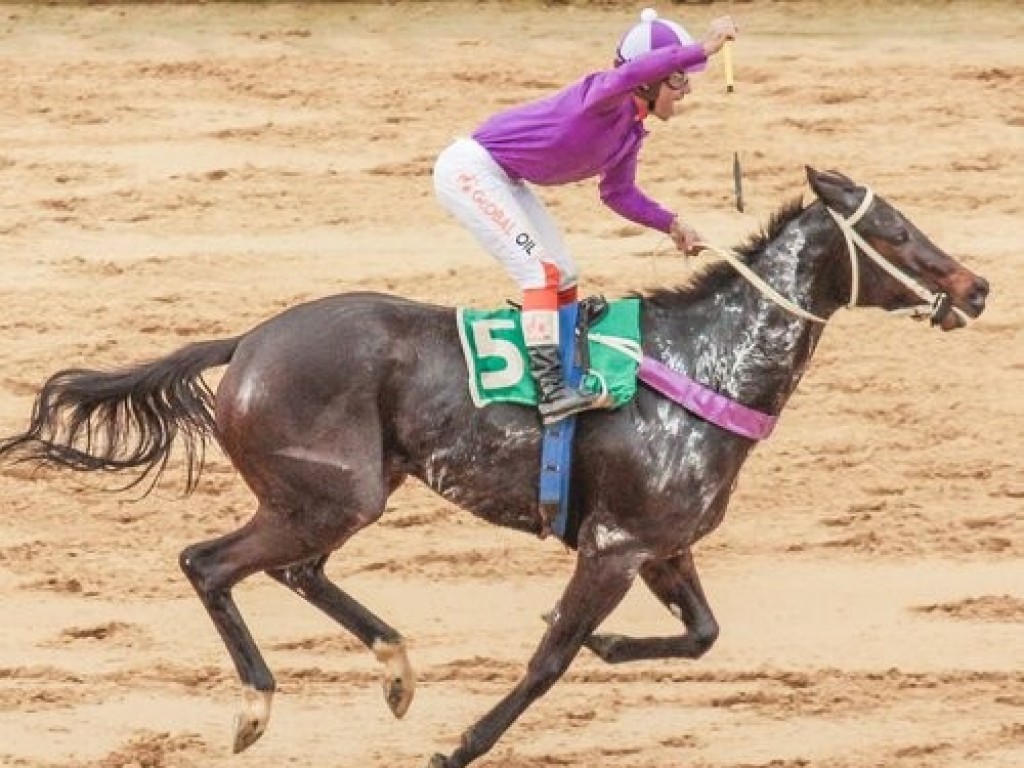 Foto: Com mais de R$ 96 mil em prêmios, Copa ABCPCC Regional é atração, em Porto Alegre