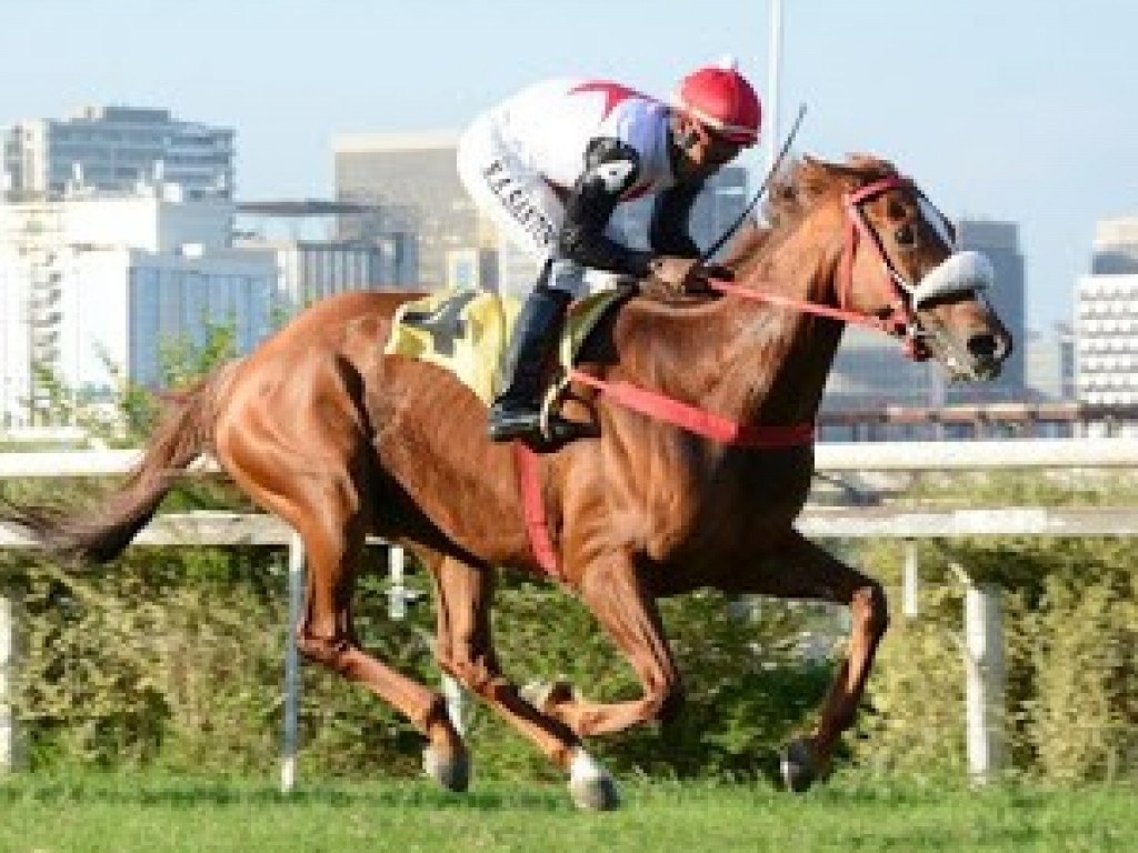 Foto: Hevea não escolhe distância e vence o GP Presidente Teixeira de Assumpção Netto (G3)