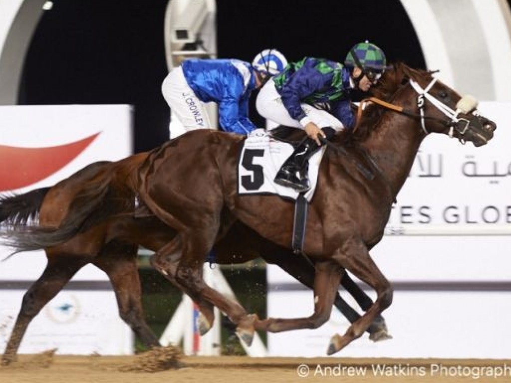 Foto: Cool Cowboy, um Kodiak Kowboy, vence o Al Shindagha Sprint (gr.III) em Dubai