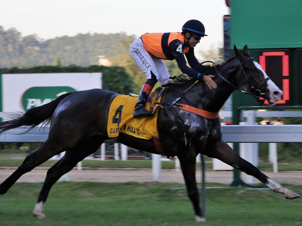 Foto: Gargalo's Hills larga e acaba no Grande Prêmio Gervásio Seabra (gr.II)