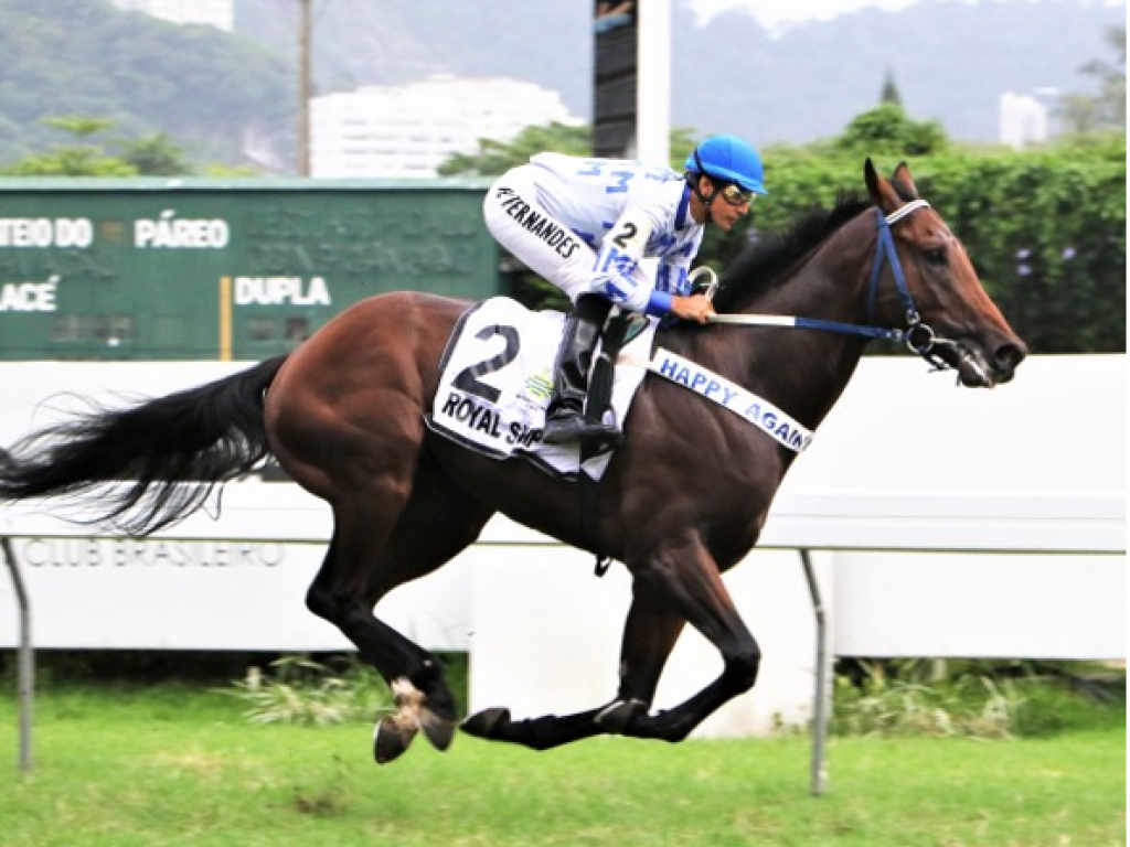 Foto: EUA: corrido em último, Royal Ship entra terceiro, numa excelente estreia