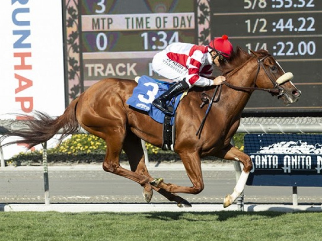 Foto: Cólica tirou Jolie Olímpica da Del Mar Mile; retorno marcado para setembro, em G3