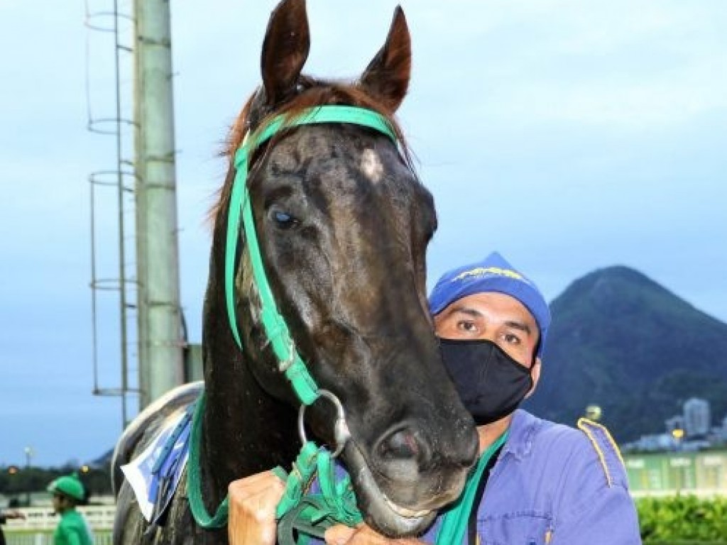 Foto: Pedigree & Black Type: os Ganhadores Clássicos no Brasil - 14ª Edição