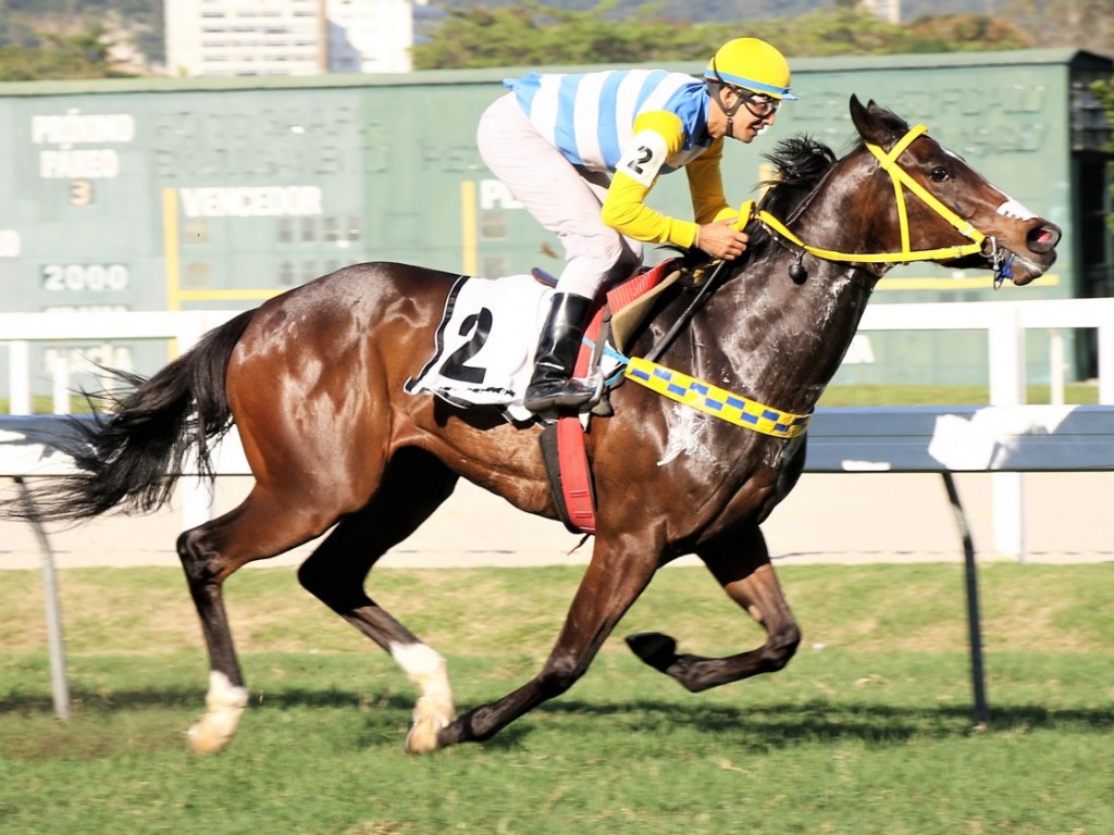 Foto: Mais Que Bonita impõe sua categoria no GP Duque de Caxias (G2)