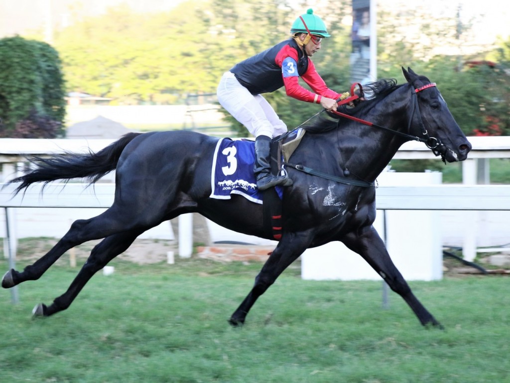 Foto: De ponta a ponta, Dark Bobby confirma favoritismo no GP Presidente Vargas (G3)