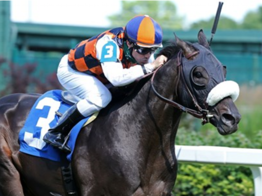 Foto: Ivar enfrenta stakes, no meeting de Kentucky Downs