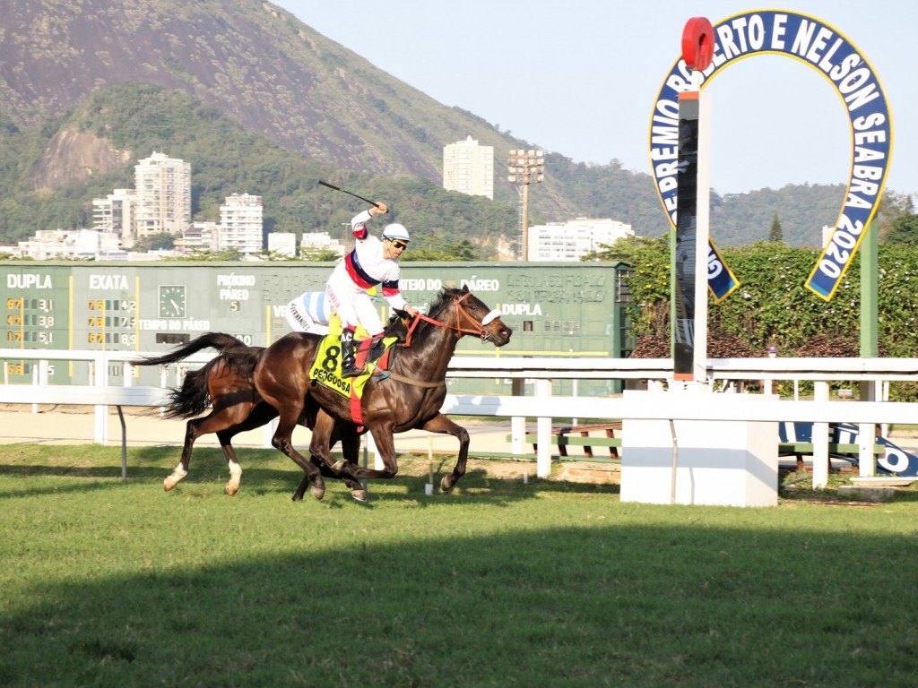 Foto: Perigoosa leva o Brasil das Éguas para o Haras Doce Vale