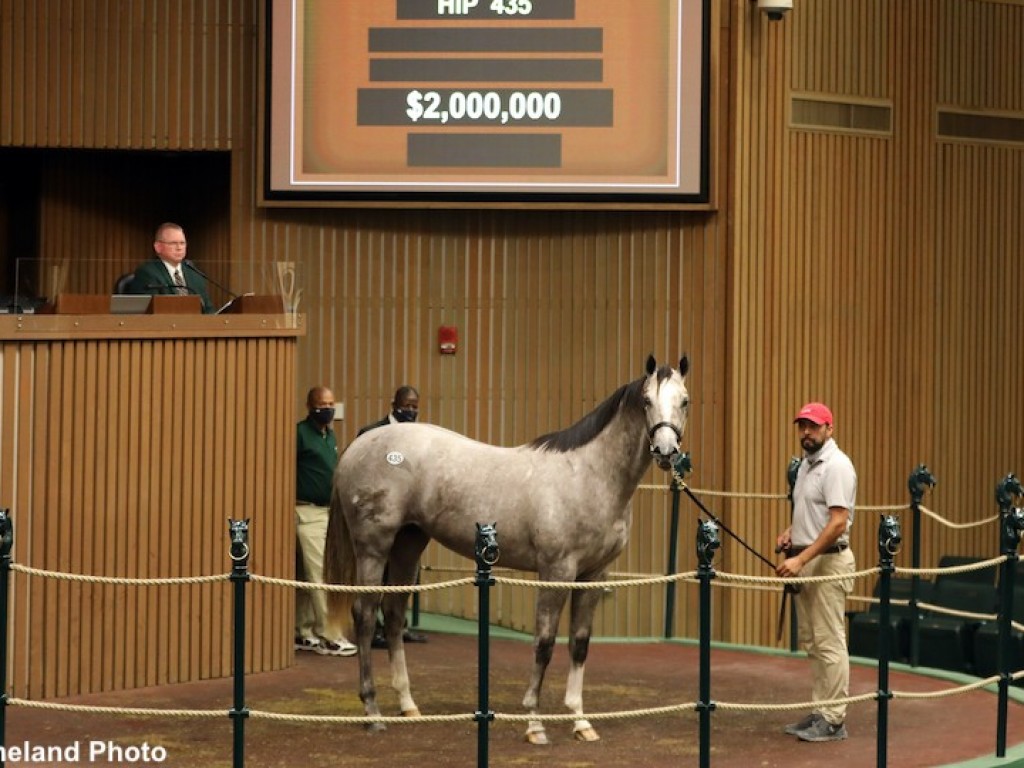 Foto: Numa edição atípica, Keeneland September atinge US$ 238 milhões