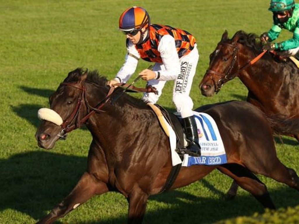 Foto: De Bagé para o mundo: Ivar vence G1 e vai à Breeders’ Cup