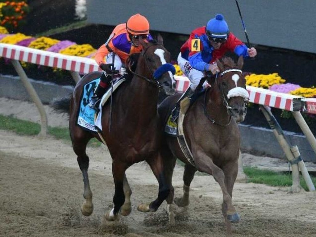 Foto: Em duelo histórico, Swiss Skydiver supera Authentic no Preakness Stakes (G1)