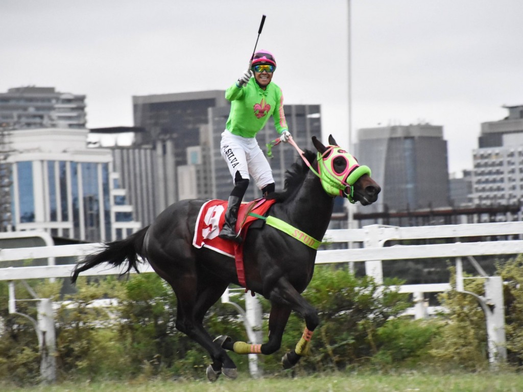 Foto: Pedigree & Black Type: os Ganhadores Clássicos no Brasil - 19ª Edição